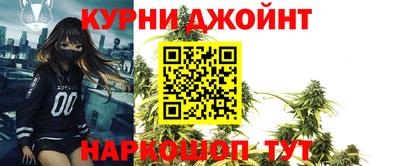 сатива Сланцы