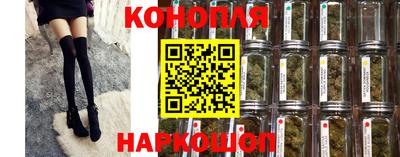 сатива Сланцы