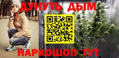 сатива Сланцы