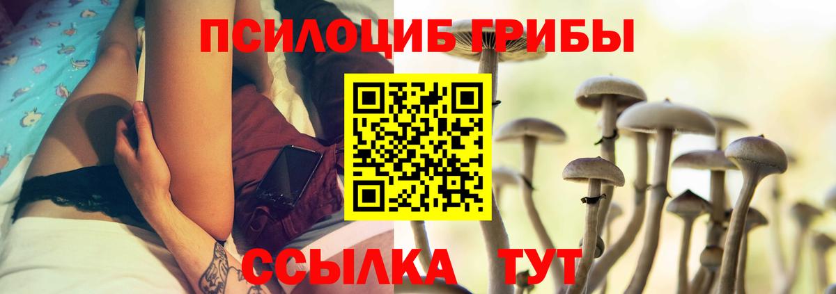 Галлюциногенные грибы GOLDEN TEACHER  Галлюциногенные грибы мицелий  Вход с VPN  купить закладку  Ртищево 