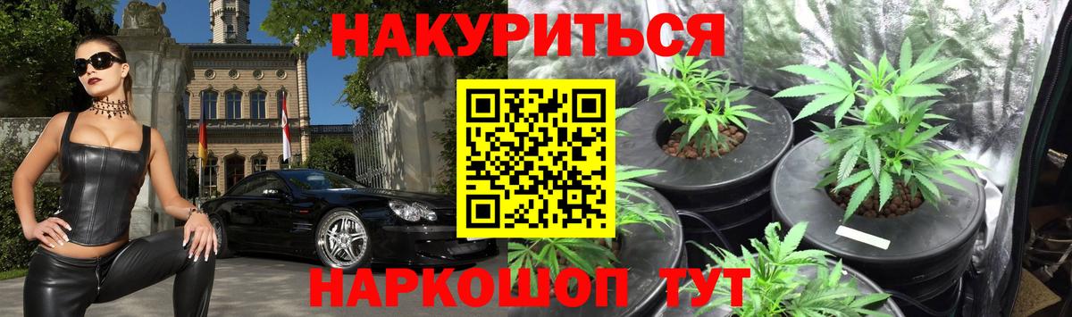 Конопля сатива  Каннабис SATIVA & INDICA  Ртищево  Вход с VPN  Канабис ГИДРОПОН 